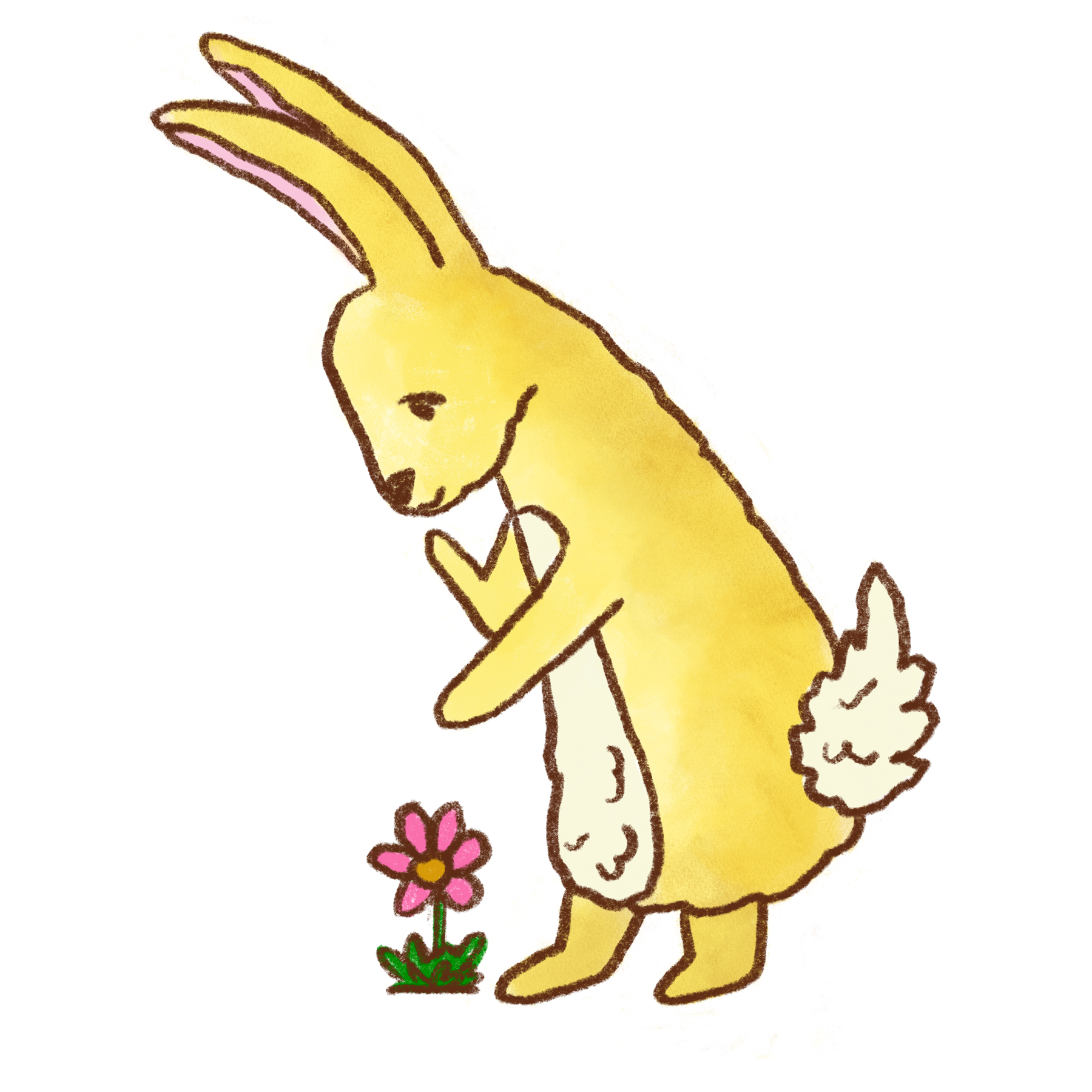 Rabbit looking at a flower. Image for Elaine. Illustration by Caitlin Rowlings.